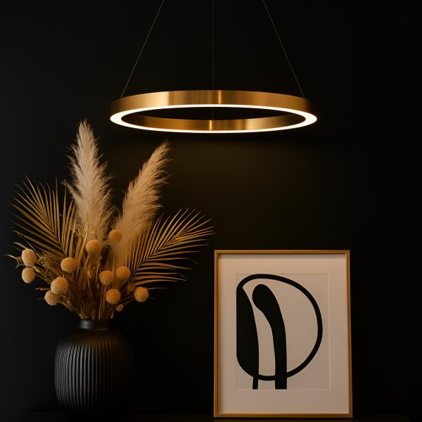 PVD Coated Donut Light – Luxury Modern LED Pendant